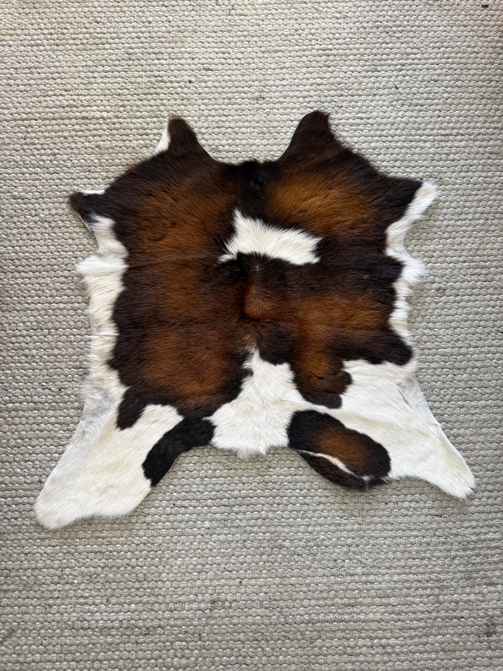 Calf Hide Rug 090