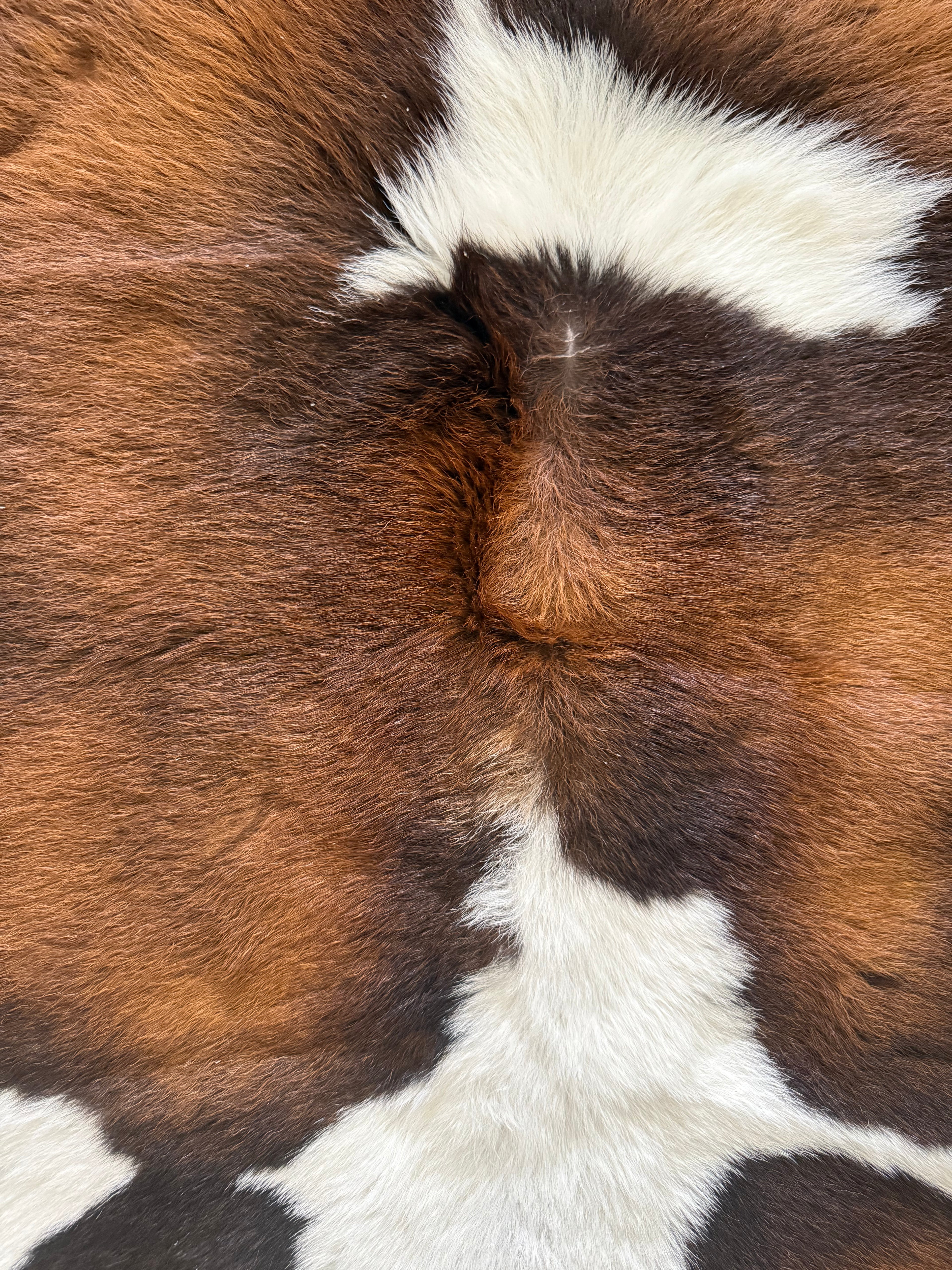 Calf Hide Rug 090